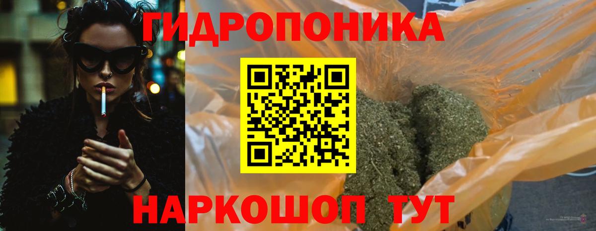 МАРИХУАНА Bruce Banner  Вход с VPN  Горячий Ключ  Бошки марихуана OG Kush  Бошки марихуана тримм  МАРИХУАНА OG Kush 